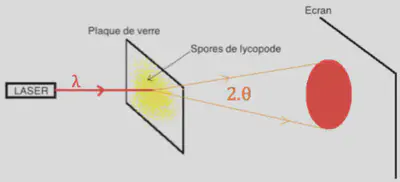 Schéma du montage expérimental pour déterminer la taille des spores.